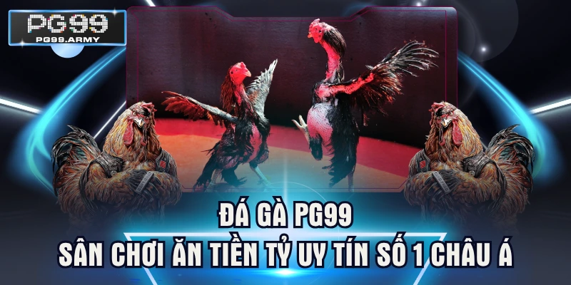 Đá gà PG99