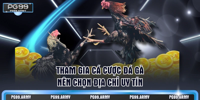 Tham gia cá cược đá gà nên chọn địa chỉ uy tín